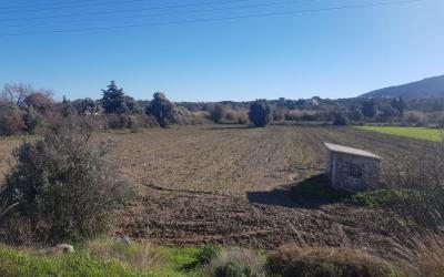 Prime 6,583 m² Investment Agricultural Land