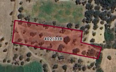 Uygun Fiyatlı Zeytinli Tarla